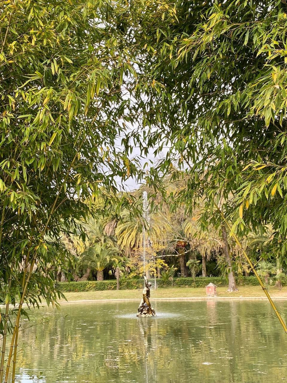 Абхазия на выходные! 2 дня (19/25)