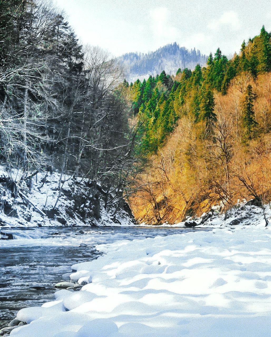 Новогодний тур 2026