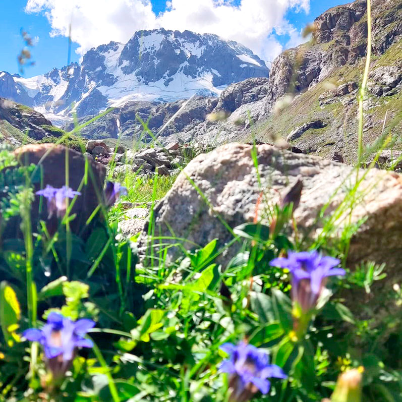 Треккинг к горе желаний Уллу-Тау (52/95)