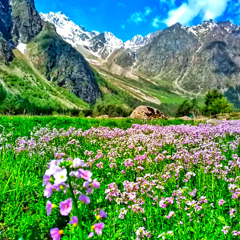 Треккинг к горе желаний Уллу-Тау (50/95)