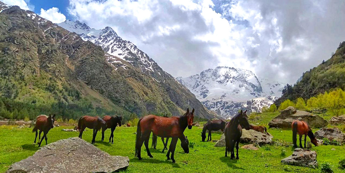Треккинг к горе желаний Уллу-Тау (61/95)