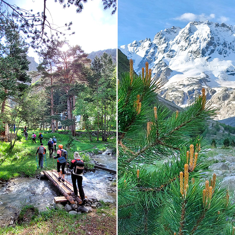 Треккинг к горе желаний Уллу-Тау (54/95)