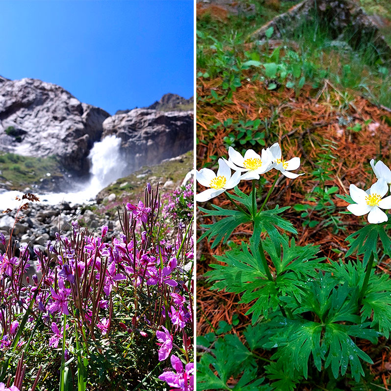 Треккинг к горе желаний Уллу-Тау (29/95)