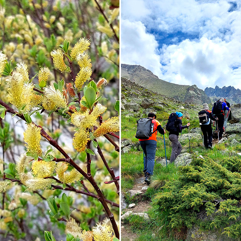 Треккинг к горе желаний Уллу-Тау (53/95)