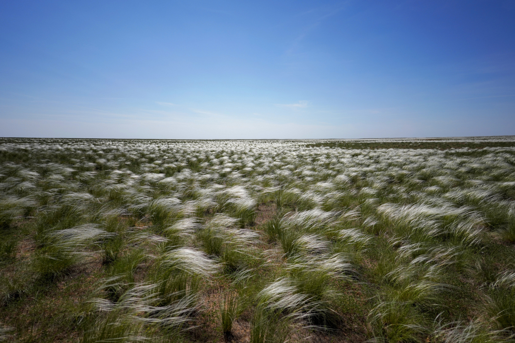 Релакс-тур Дыхание степи (3/9)