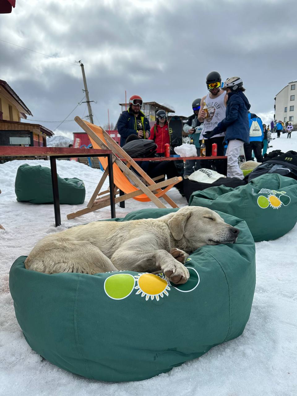 Горнолыжный тур: Мамисон + Гудаури (7/36)