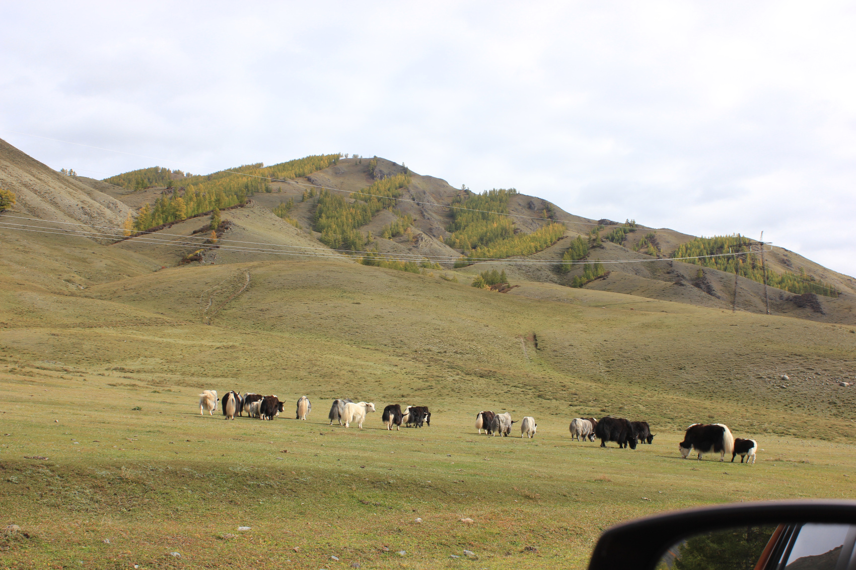 Красоты Саян за 4 дня - всё включено! (9/34)