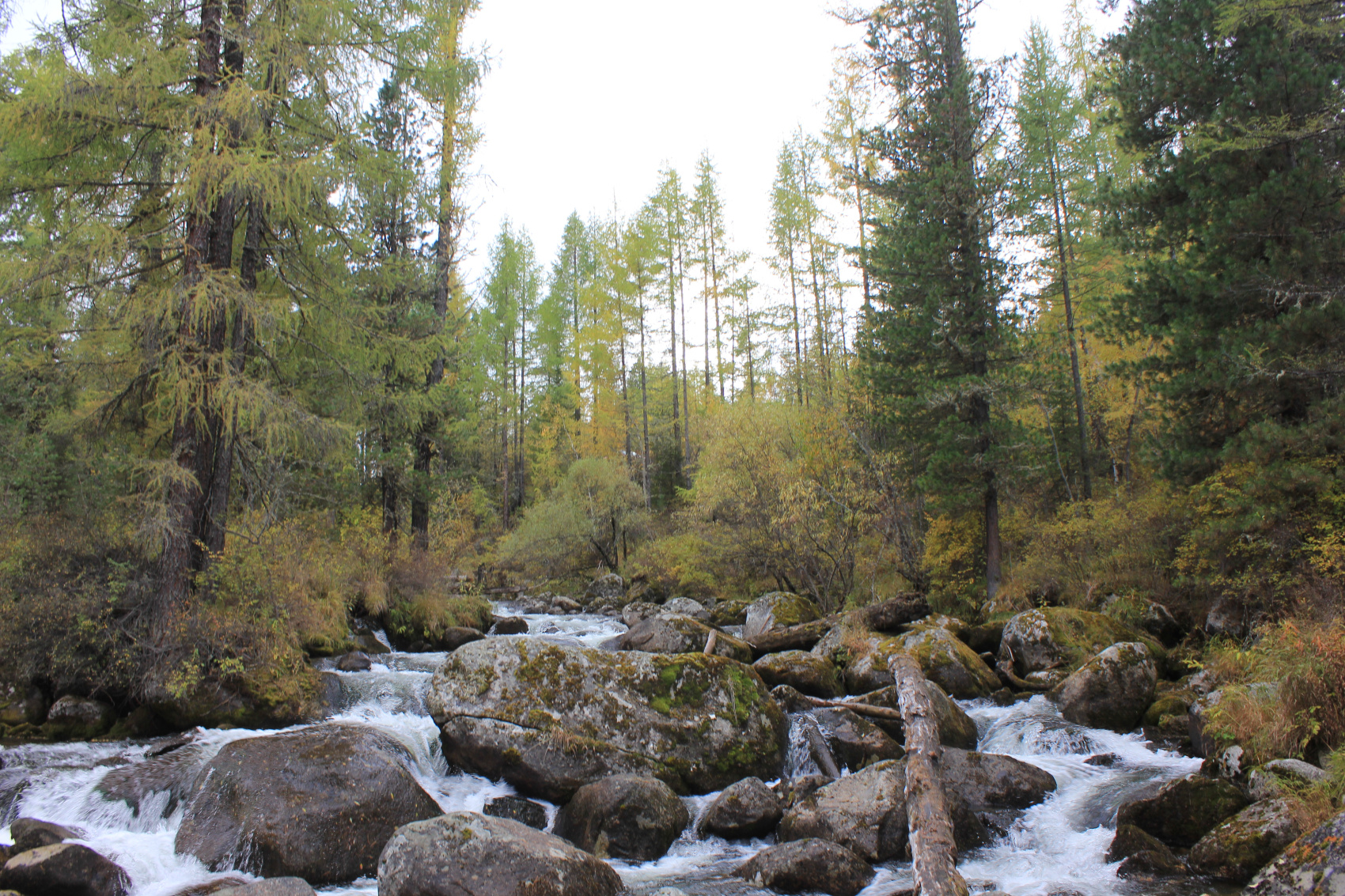 Красоты Саян за 4 дня - всё включено! (5/34)