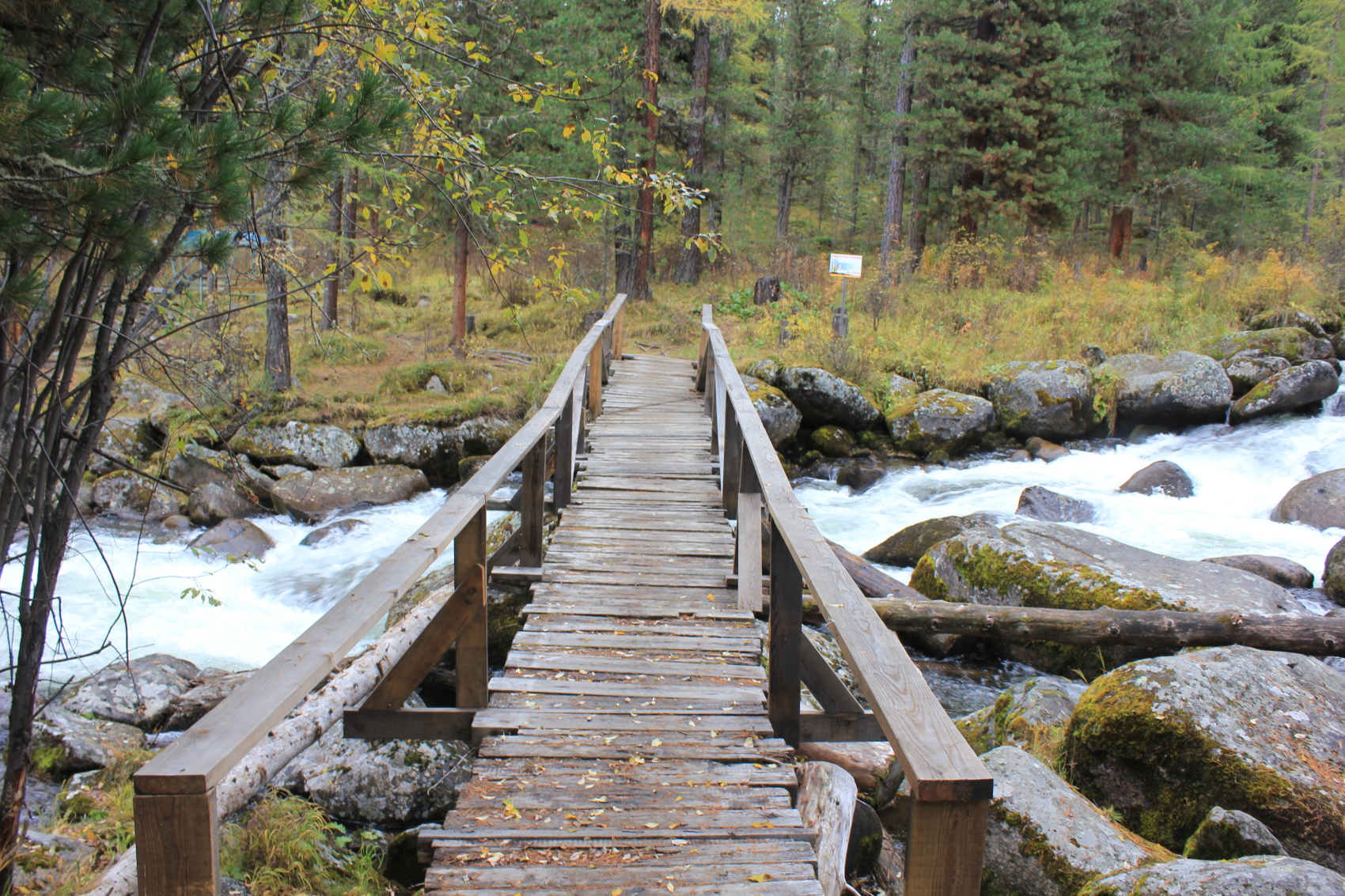 Красоты Саян за 4 дня - всё включено! (3/34)