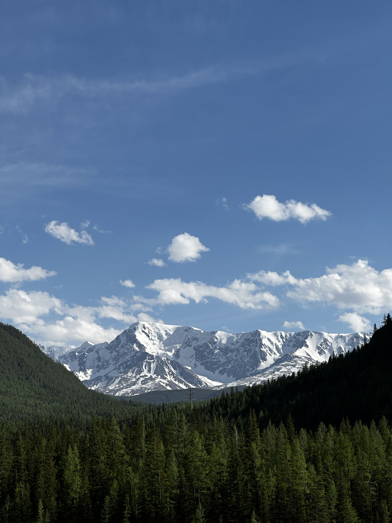 Незабываемое путешествие по Алтаю (4/17)