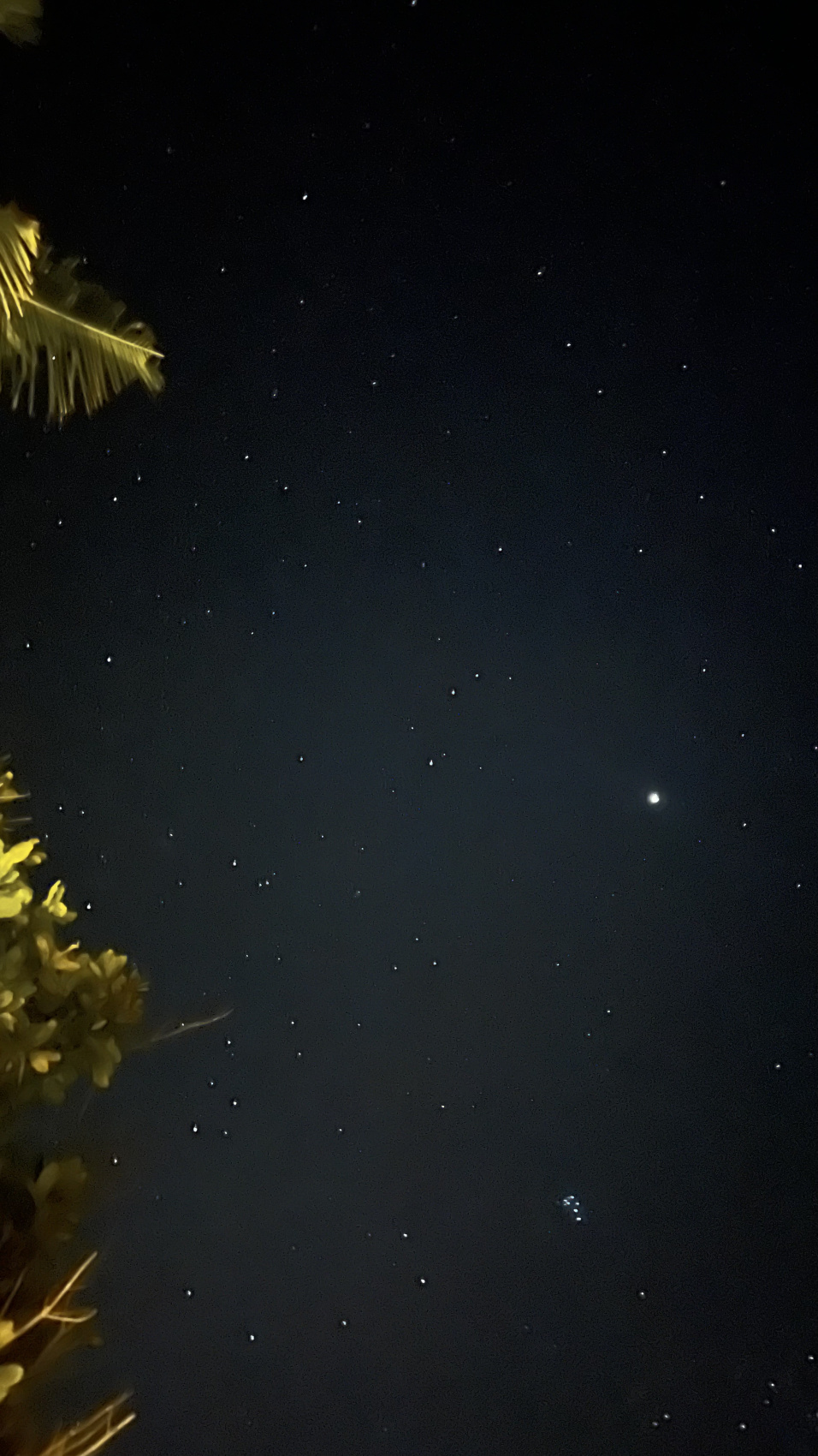 Фитнес-тур на райском острове Мальдив (30/61)