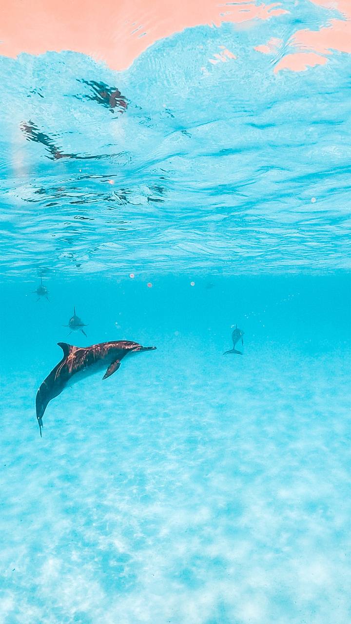 Фитнес-тур на райском острове Мальдив (24/61)