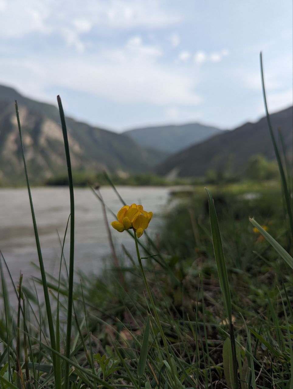 Дагестан 3 дня  Все включено! Березка (31/91)