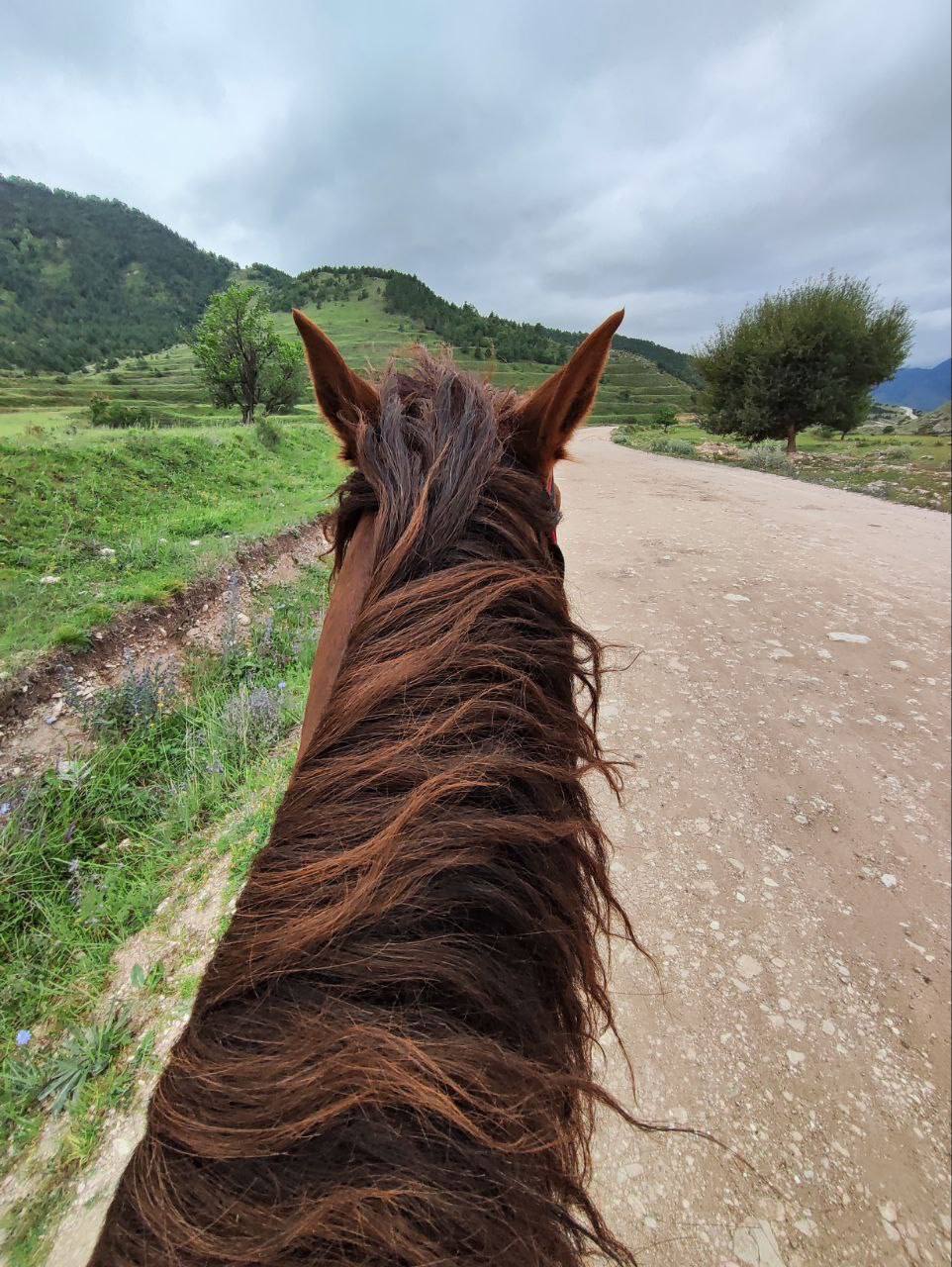 Дагестан 3 дня  Все включено! Березка (29/91)