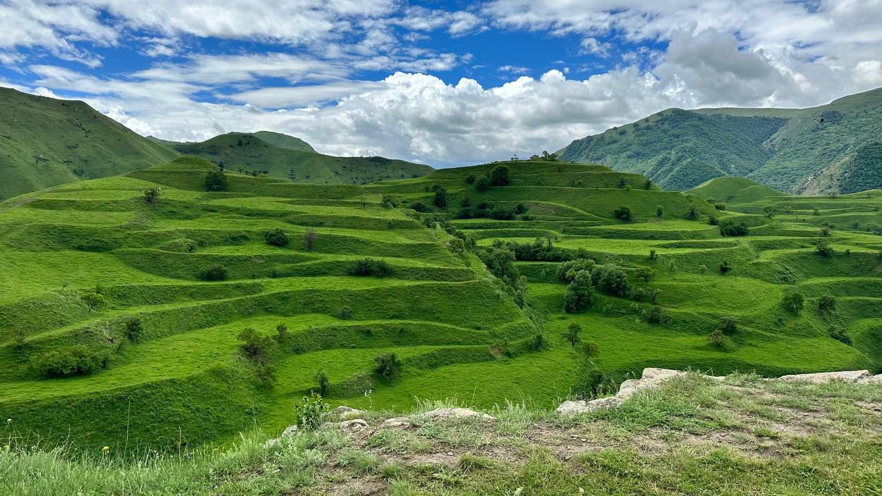 Дагестан 3 дня  Все включено! Березка (46/91)