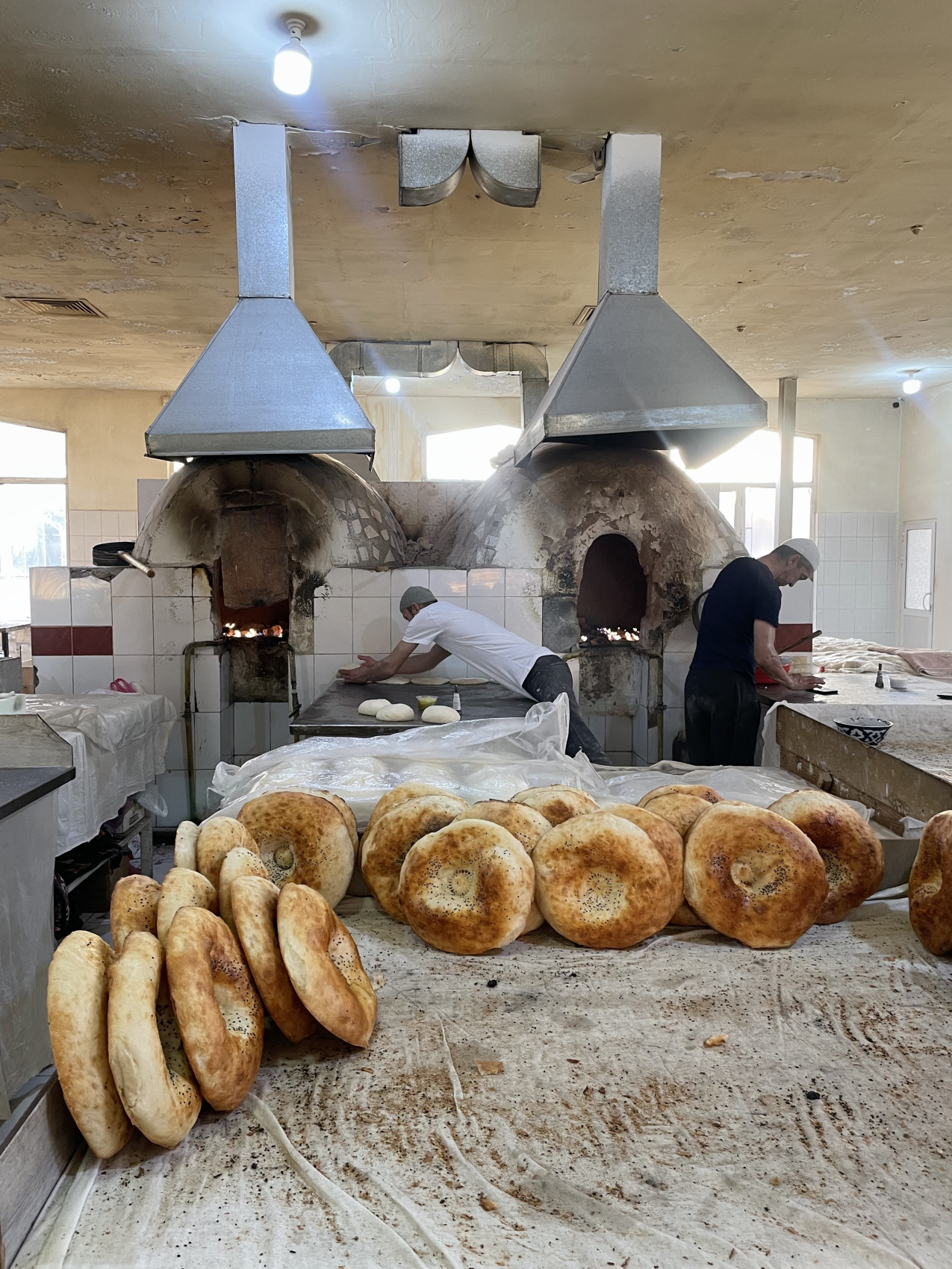 Всё великолепие Узбекистана за 6 дней! (3/47)