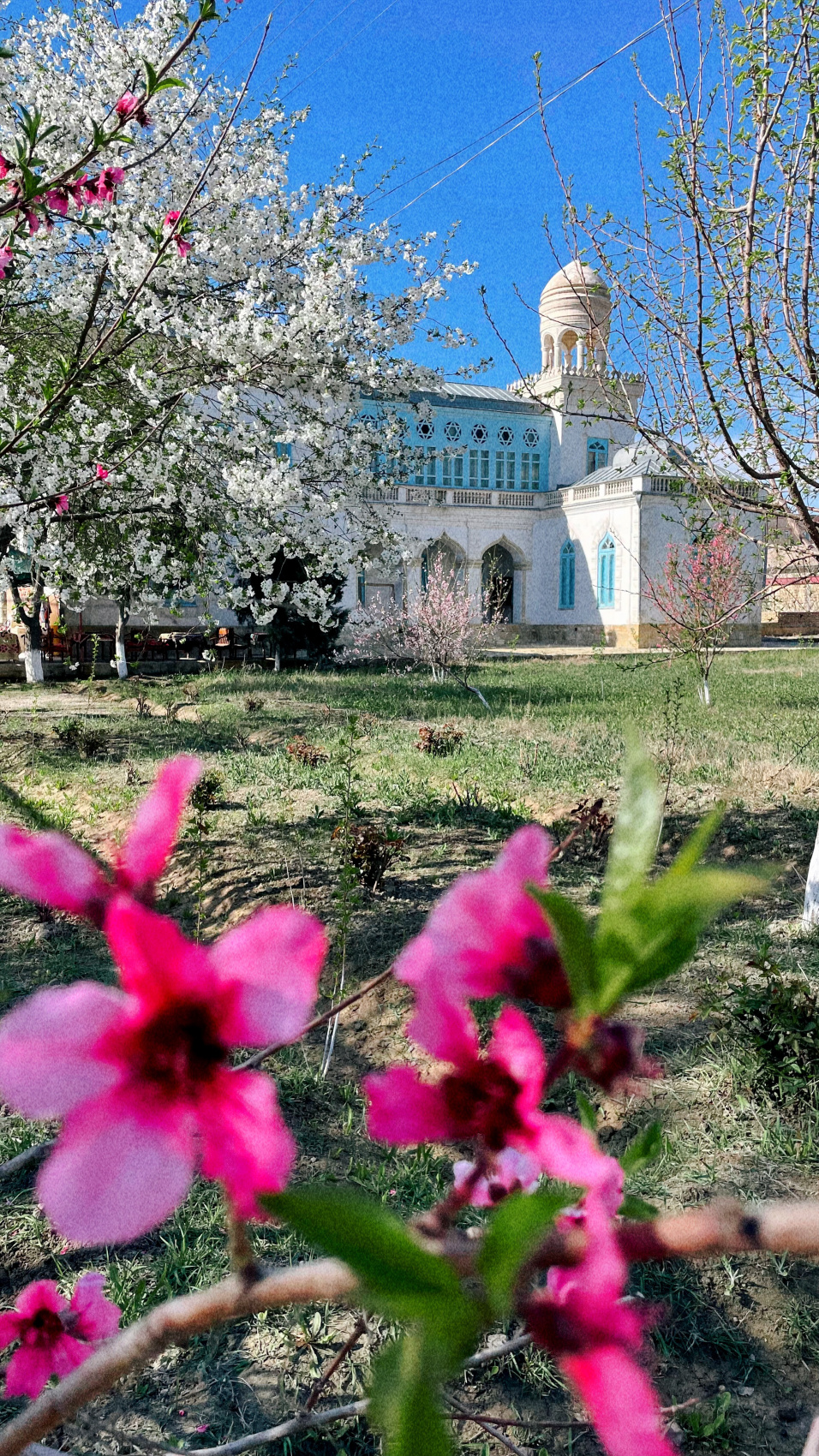 Всё великолепие Узбекистана за 6 дней! (5/47)