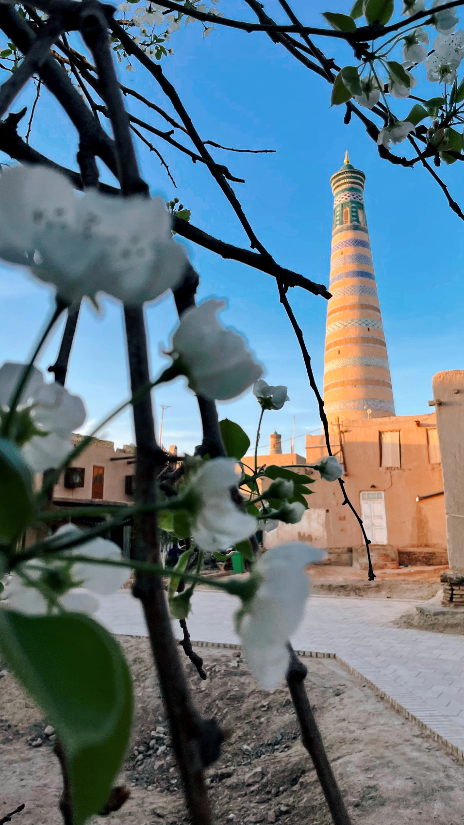 Всё великолепие Узбекистана за 6 дней! (9/47)