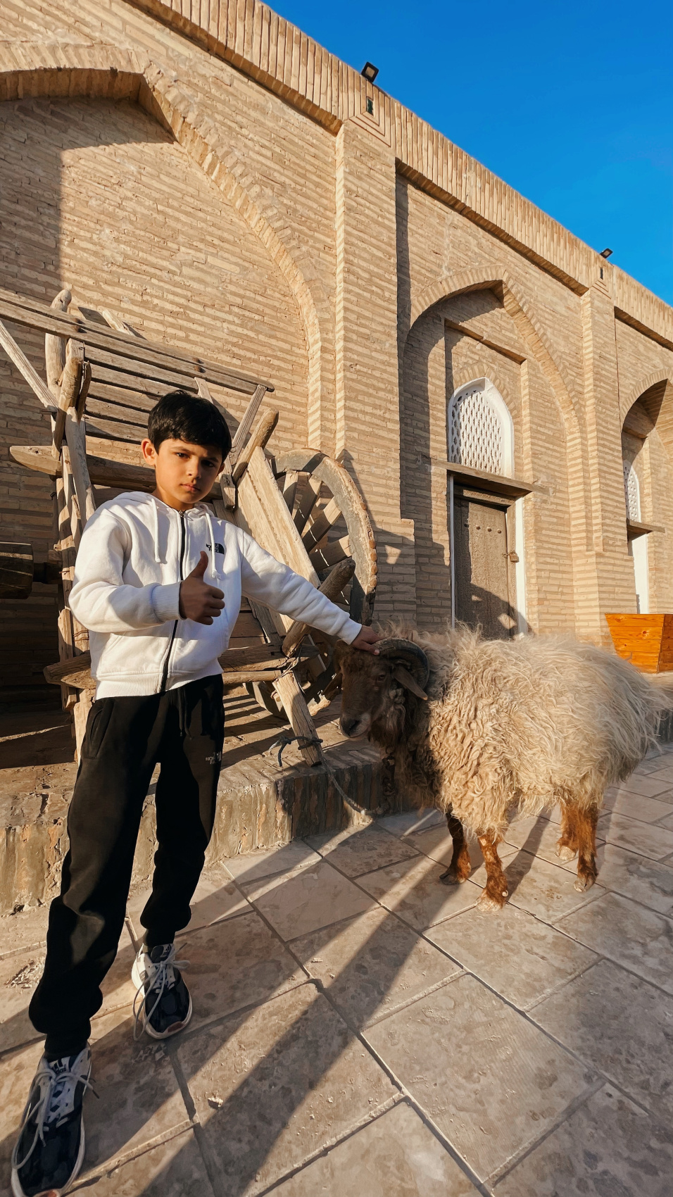 Всё великолепие Узбекистана за 6 дней! (11/47)