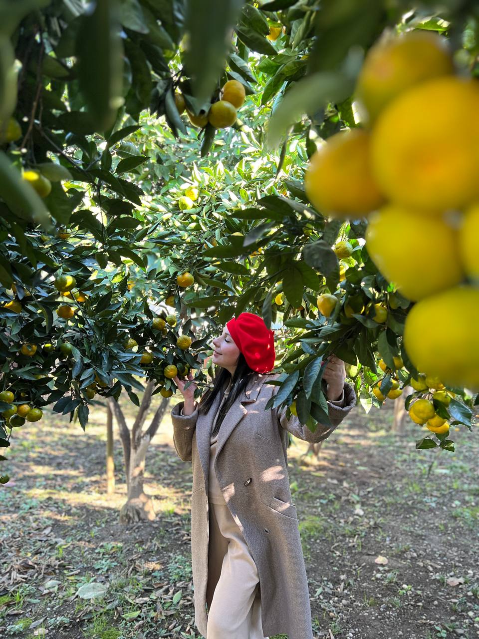 Абхазия. Релакс и экскурсии, тур на 4 дня (27/86)