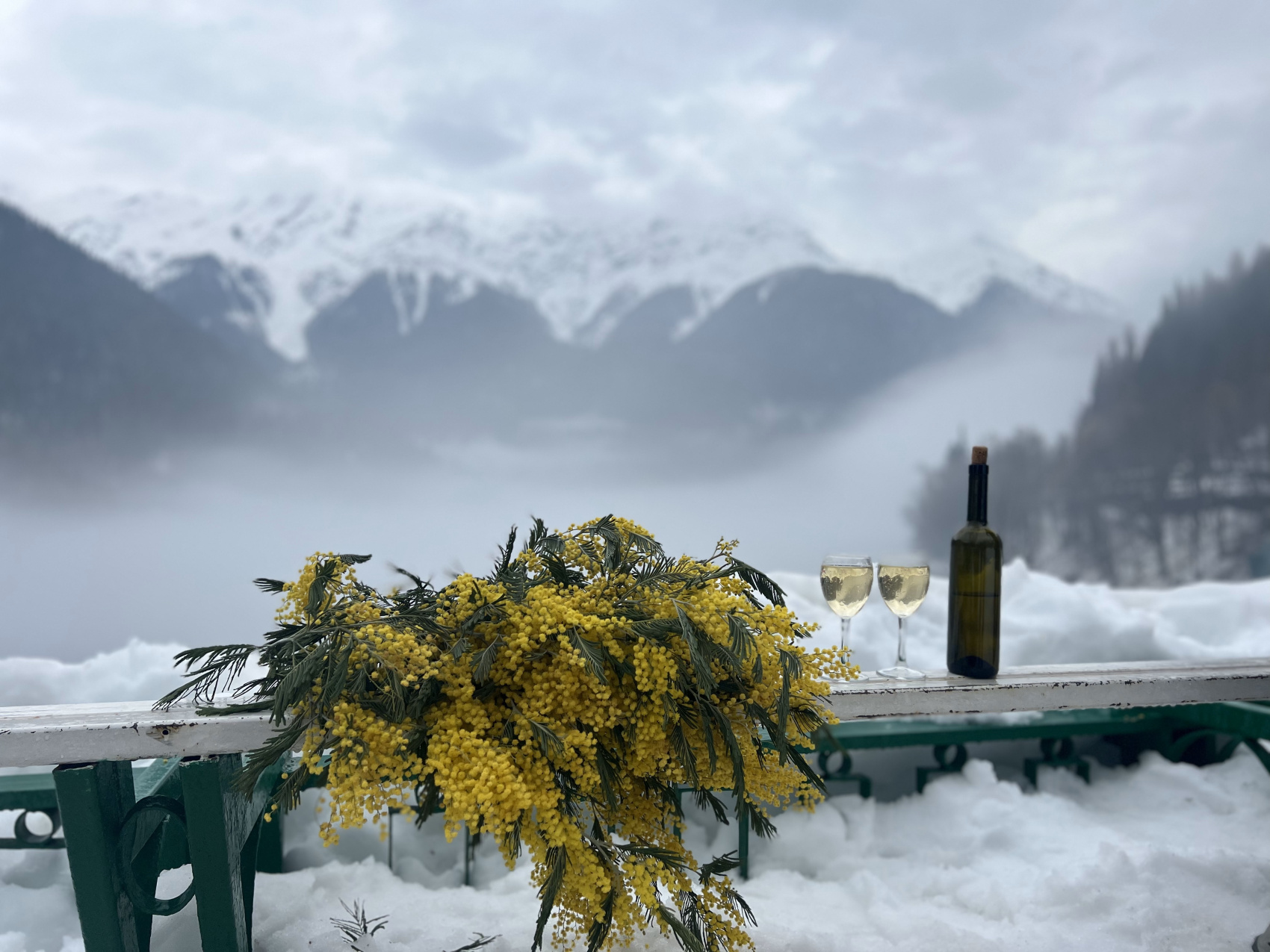 Абхазия. Релакс и экскурсии, тур на 4 дня (6/86)