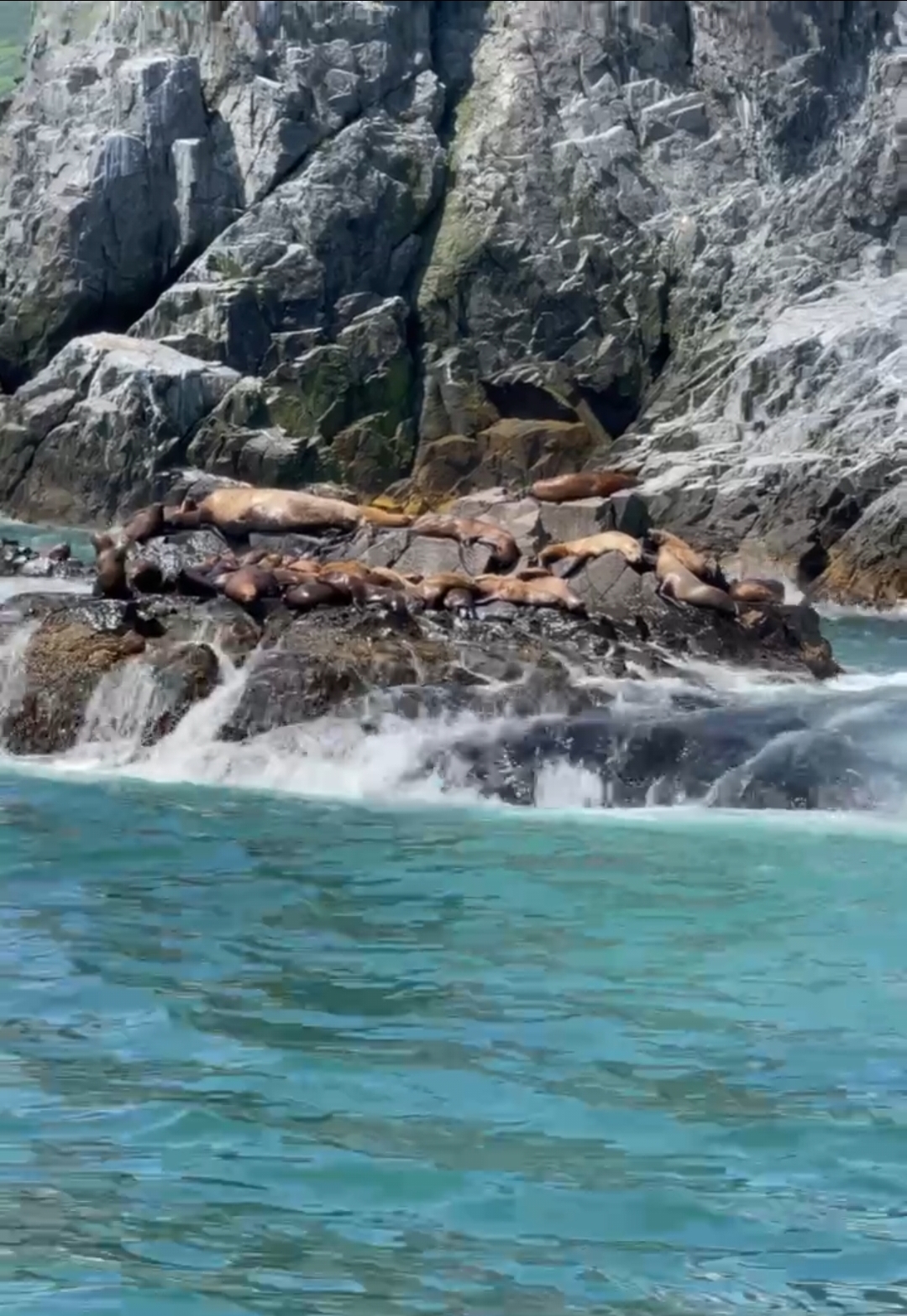 Хит Камчатки: более 20 локаций за 8 дней. Всё включено. (8/110)