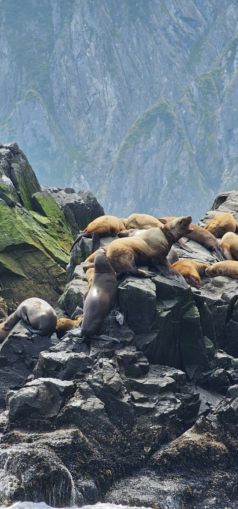 Хит Камчатки: более 20 локаций за 8 дней. Всё включено. (36/110)