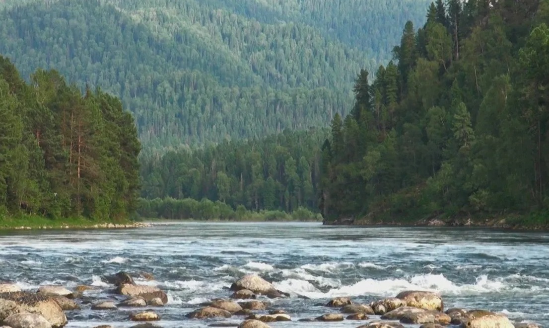 Алтайская Кругосветка 2026 - 10 дней по всему Алтаю. (22/60)