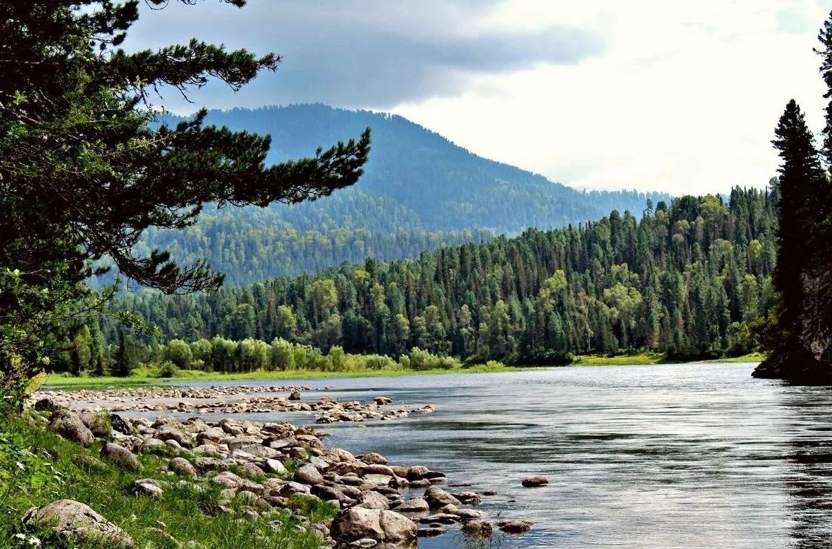 Алтайская Кругосветка 2026 - 10 дней по всему Алтаю. (10/60)