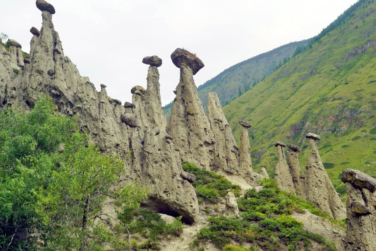 Алтайская Кругосветка 2026 - 10 дней по всему Алтаю. (9/60)