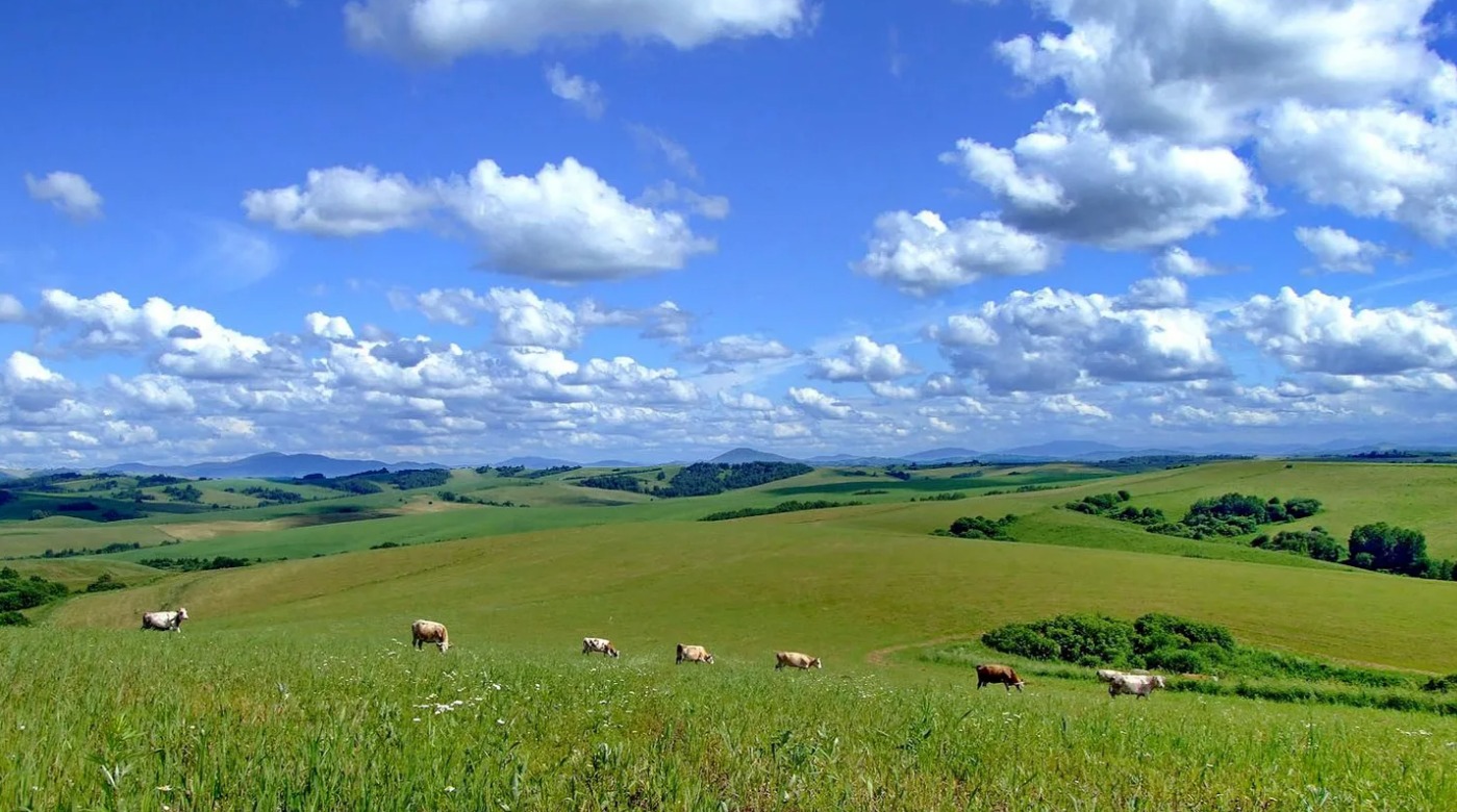 Алтайская Кругосветка 2026 - 10 дней по всему Алтаю. (25/60)