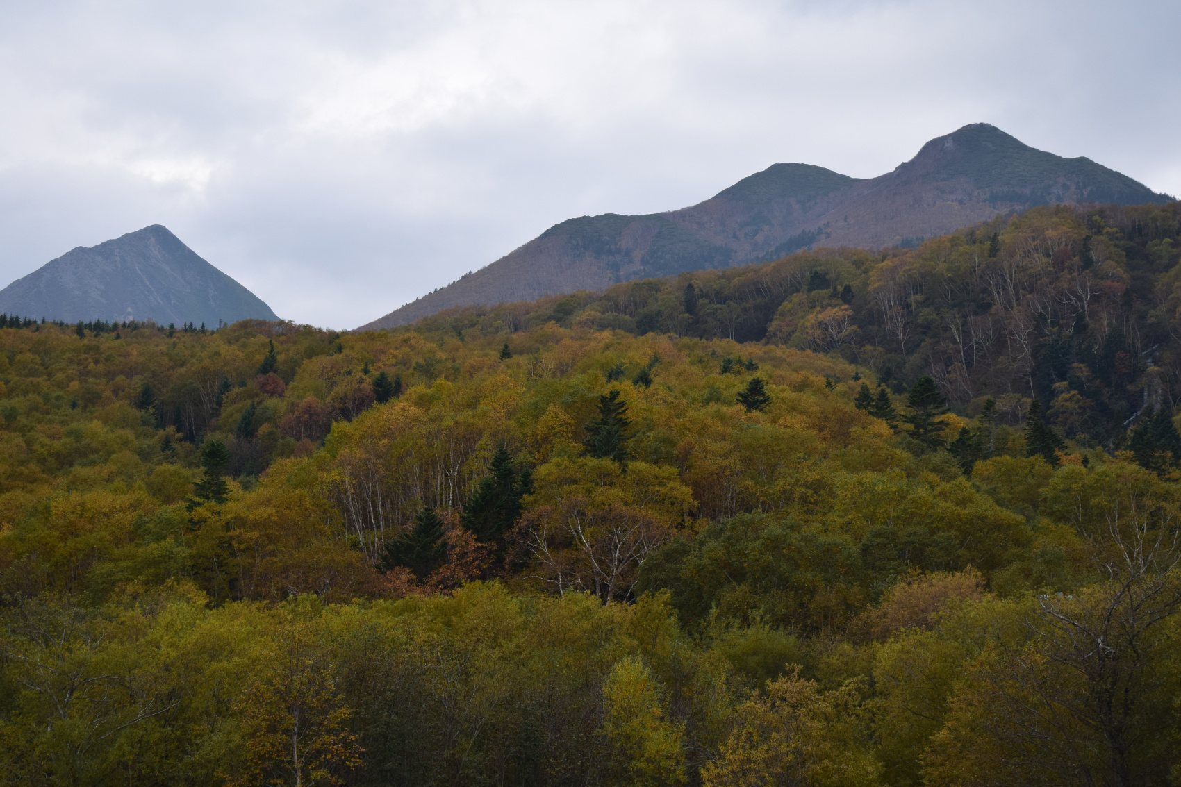 Манящий Сахалин (12/31)