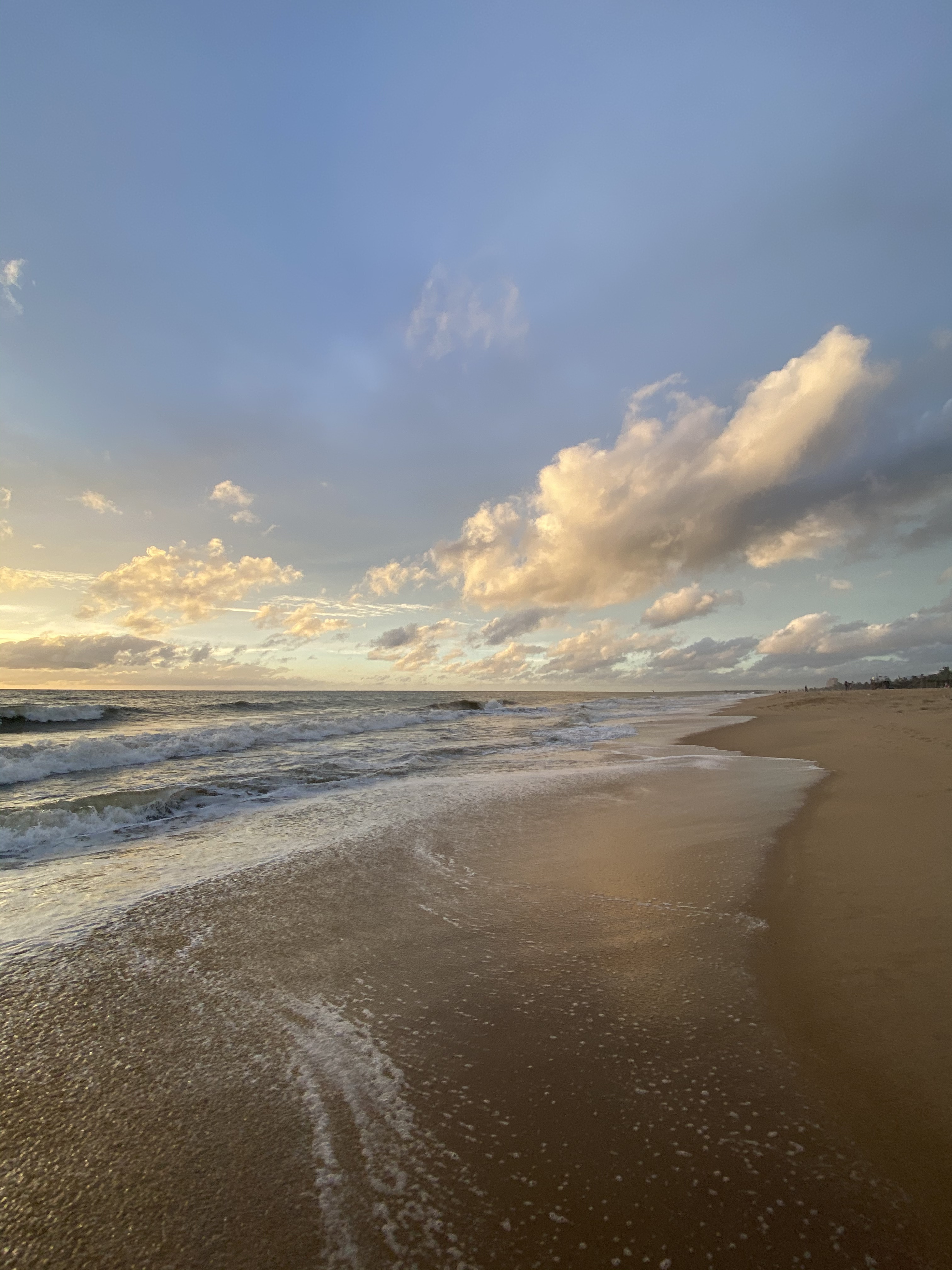 Шри-Ланка. Восточные пляжи, горы, чай, слоны и леопарды (23/45)