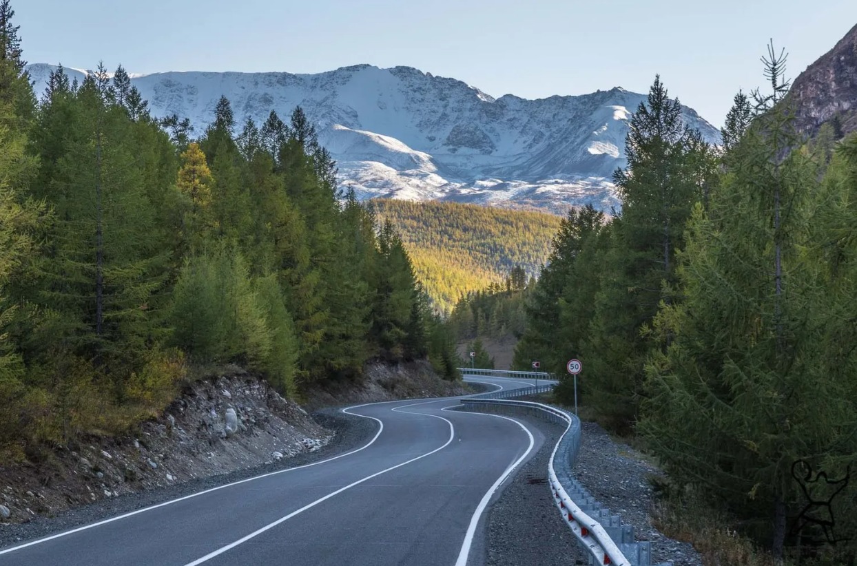 Шелковый Путь Алтая 2026 - Треккинги по восхитительным местам Алтая! (33/69)