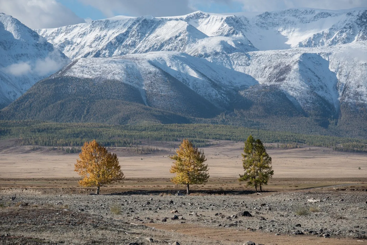 Шелковый Путь Алтая 2026 - Треккинги по восхитительным местам Алтая! (16/69)