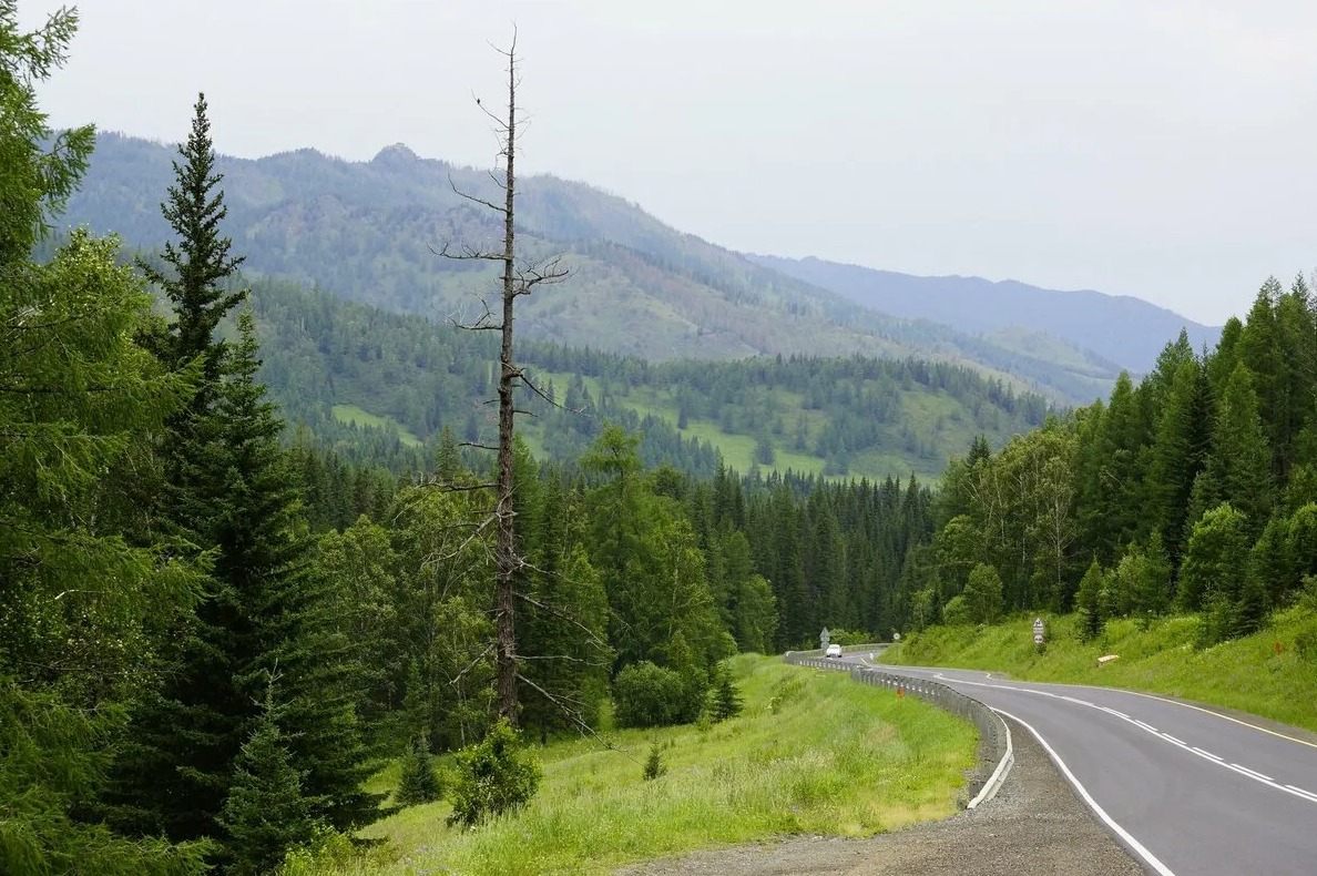 Шелковый Путь Алтая 2026 - Треккинги по восхитительным местам Алтая! (19/69)