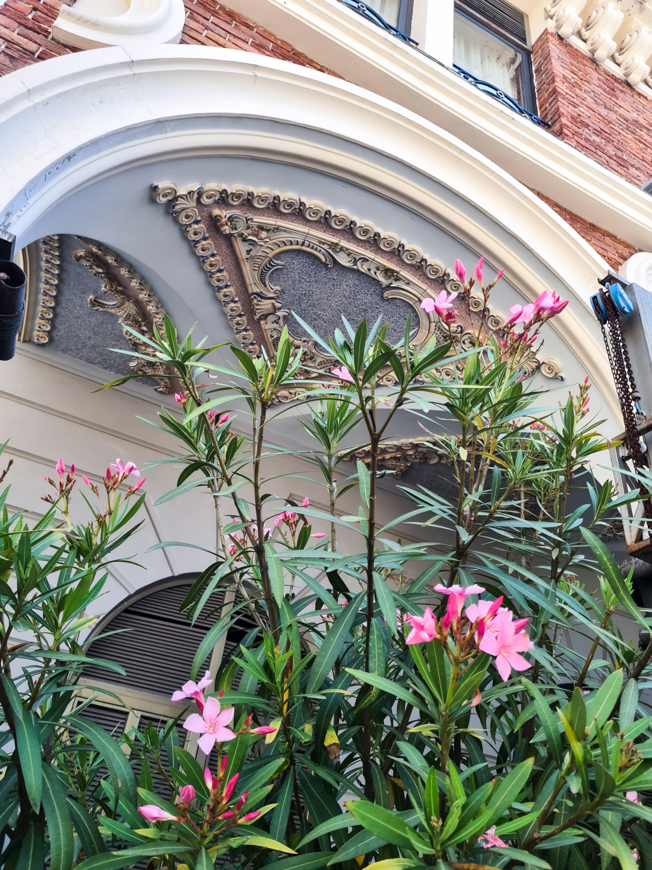 Солнечная Грузия! На море в Батуми + Тбилиси, Мартвили и Аджария! (8/58)