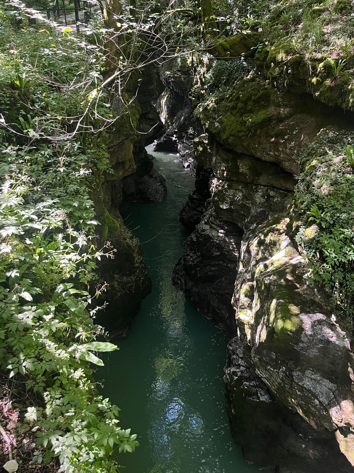 Солнечная Грузия! На море в Батуми + Тбилиси, Мартвили и Аджария! (12/58)
