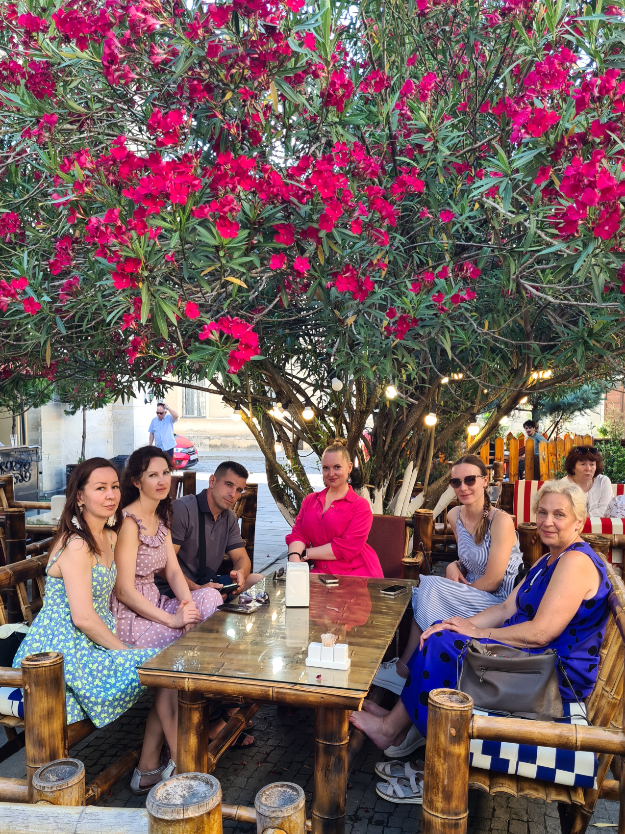 Солнечная Грузия! На море в Батуми + Тбилиси, Мартвили и Аджария! (6/58)