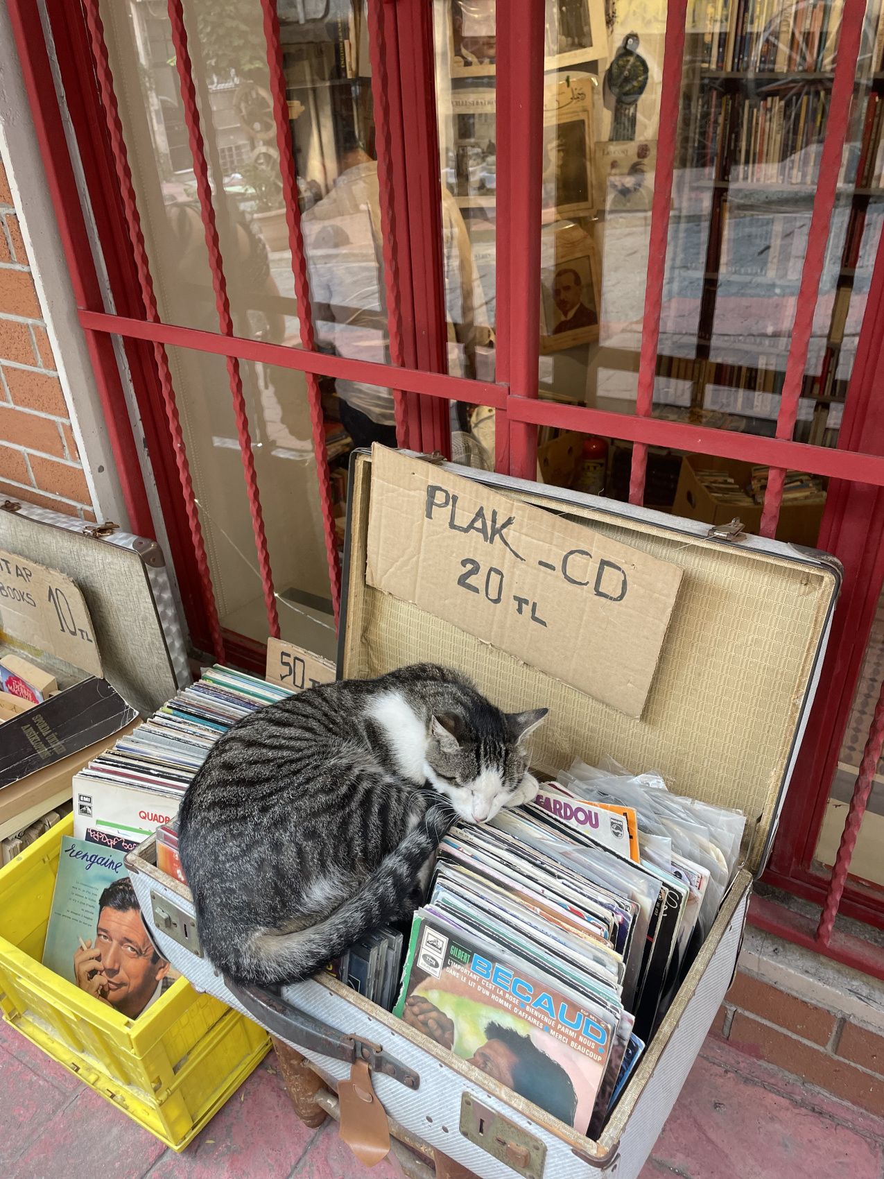 Новогодние каникулы в Стамбуле - открываем сокровищницу Турции. (24/86)