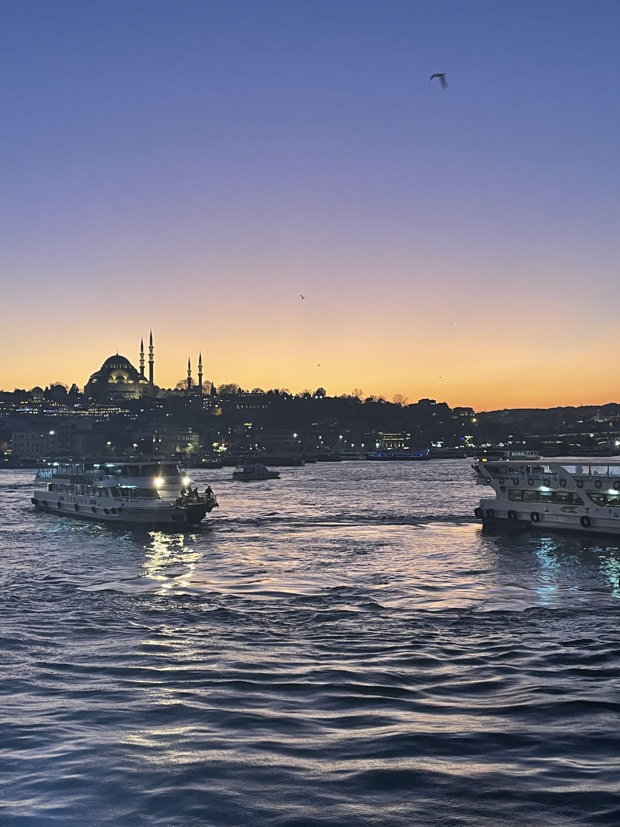 Новогодние каникулы в Стамбуле - открываем сокровищницу Турции. (43/86)