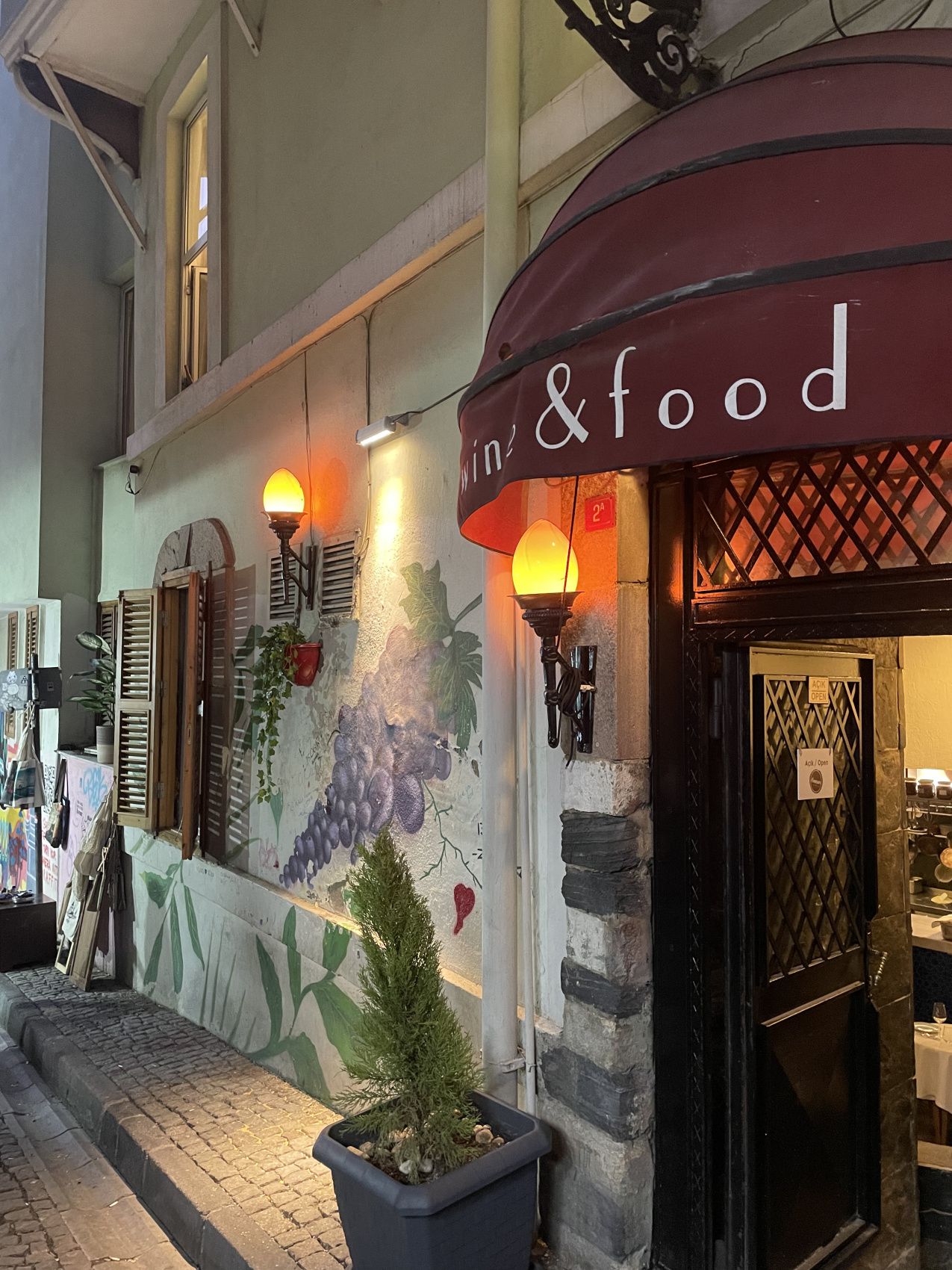 Новогодние каникулы в Стамбуле - открываем сокровищницу Турции. (26/86)