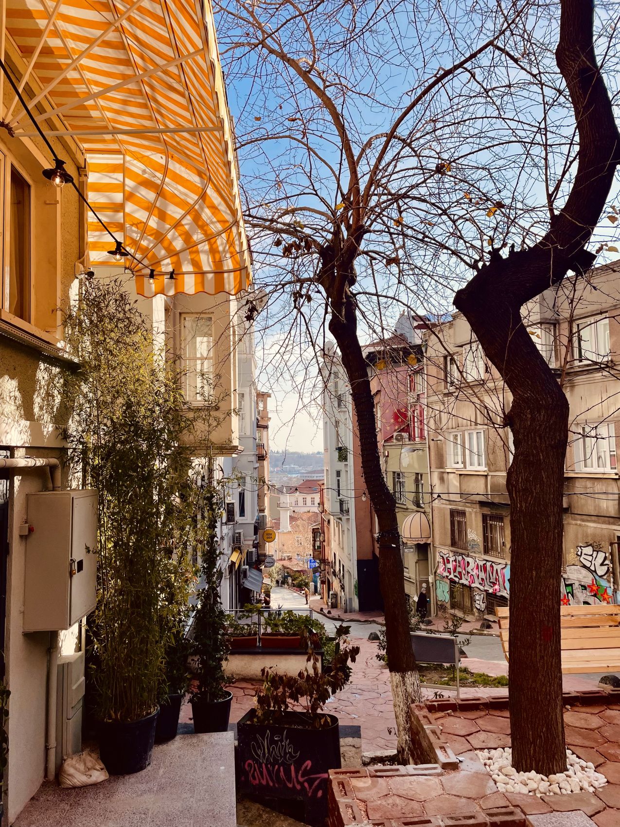 Новогодние каникулы в Стамбуле - открываем сокровищницу Турции. (18/86)