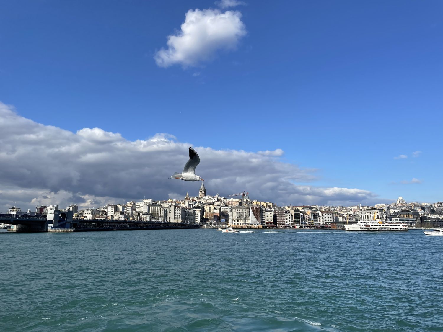 Новогодние каникулы в Стамбуле - открываем сокровищницу Турции. (48/86)