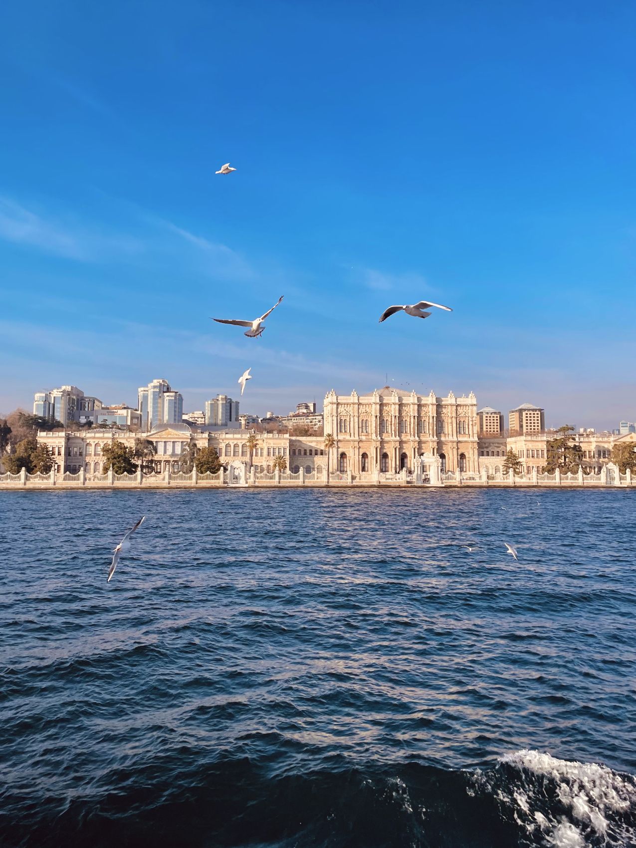 Новогодние каникулы в Стамбуле - открываем сокровищницу Турции. (9/86)