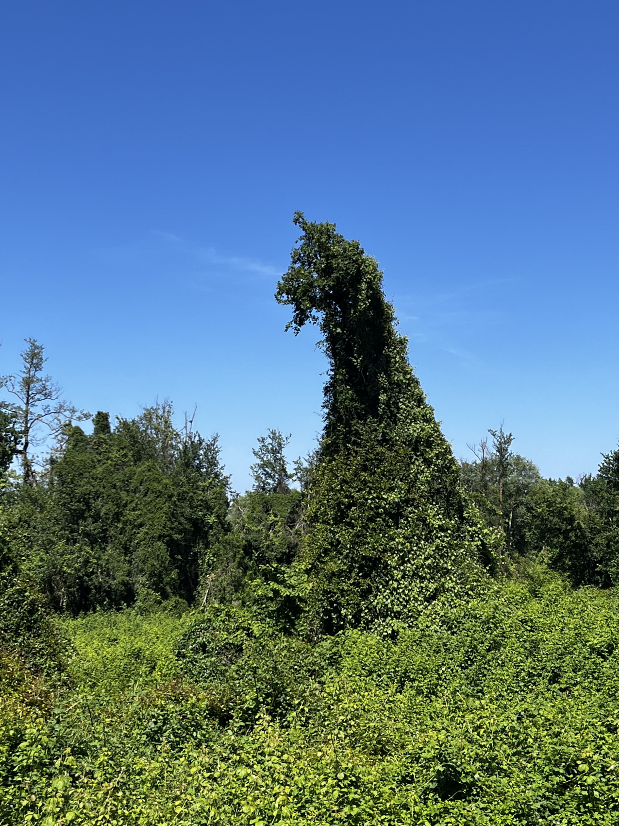 ЮЖНЫЙ ДАГЕСТАН / 5 ДНЕЙ