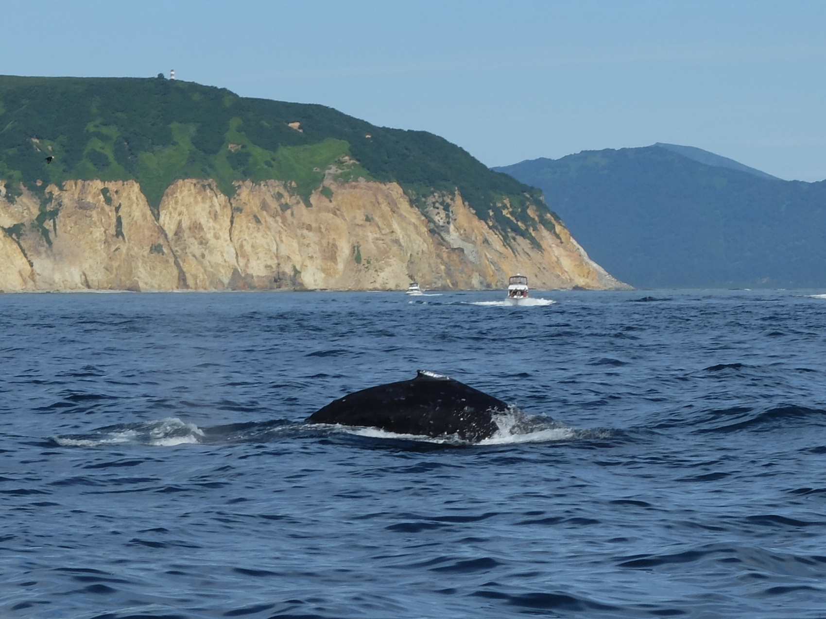 Камчатка! Земля вулканов (12/46)