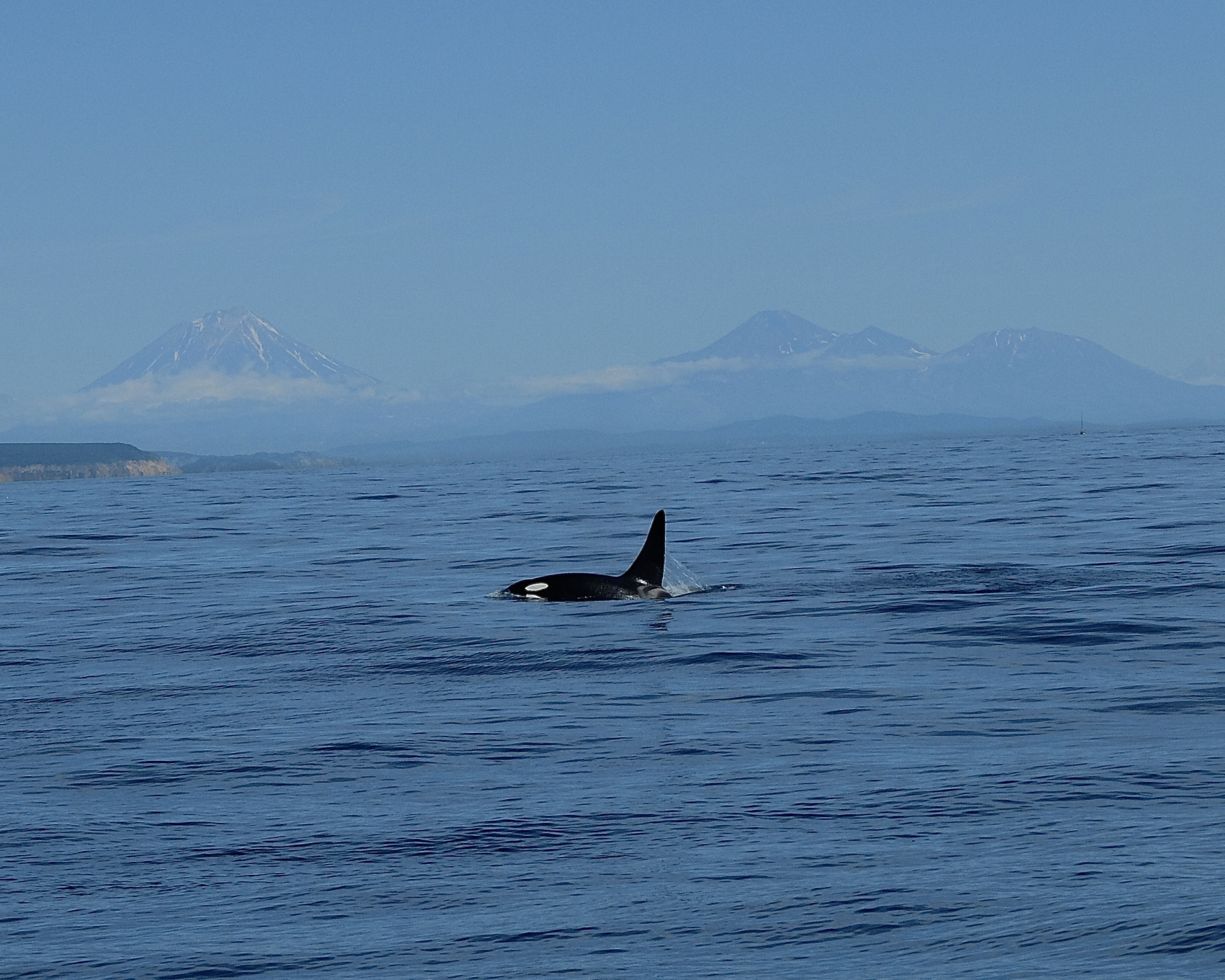 Камчатка! Земля вулканов (13/46)