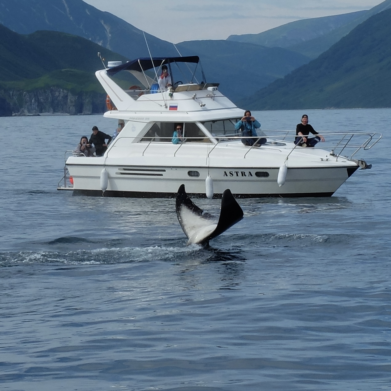 Камчатка! Земля вулканов (11/46)