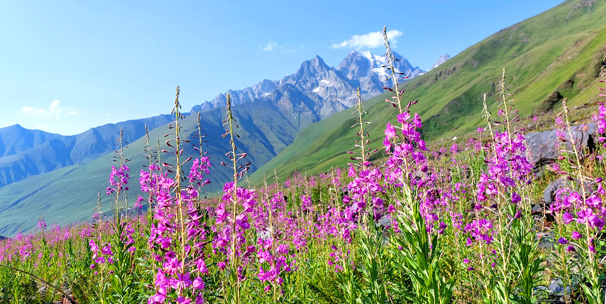 Треккинг в Верхней Балкарии (7/60)